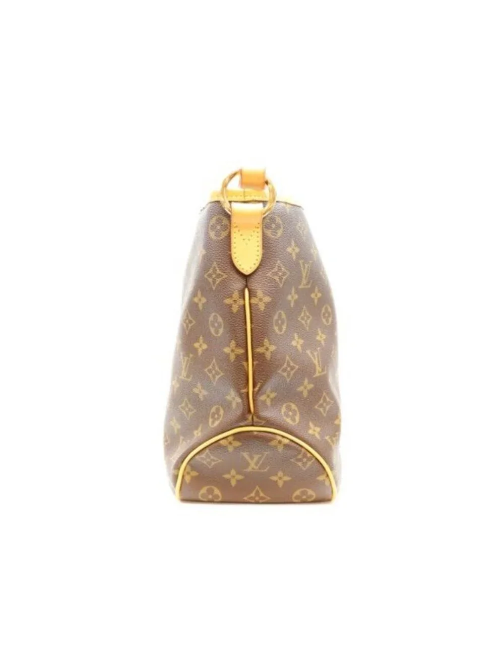 Louis Vuitton Monogram Brown Delightful PM Handbag